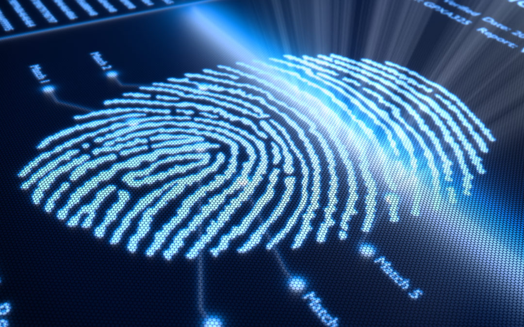 What is a digital fingerprint? Part 1